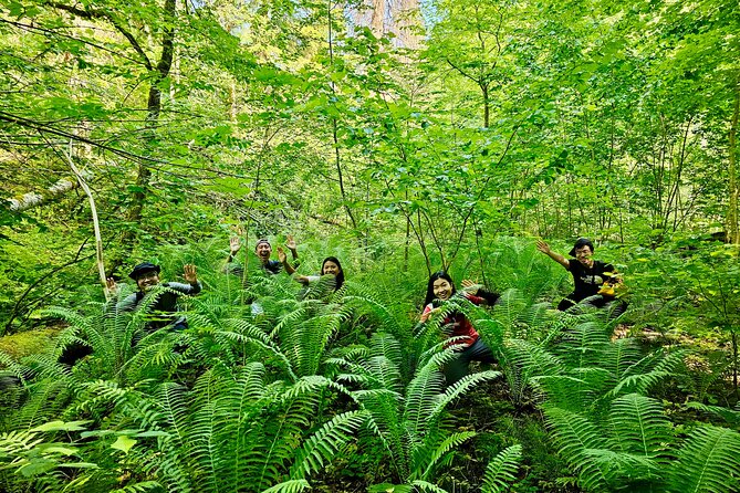 Discover Best Of Gauja National Park In One Day - The morning walk through Gauja National Park