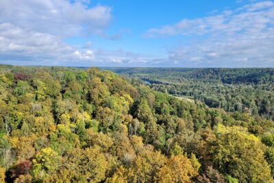 Discover Best Of Gauja National Park In One Day