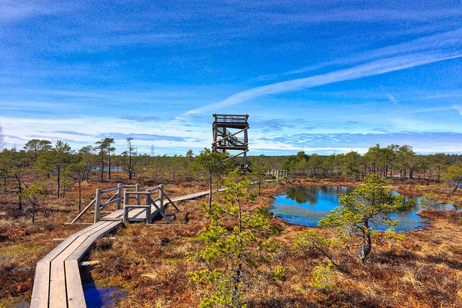 From Riga: Best of Kemeri National Park In One Day - Walking the Great Kemeri Bog Boardwalk