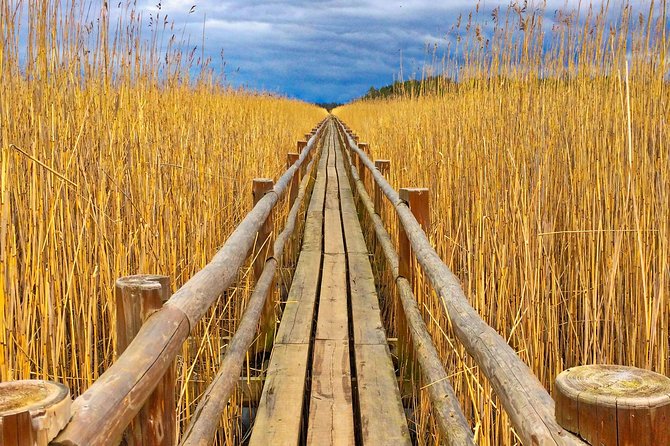 From Riga: Best of Kemeri National Park In One Day - Looking for birds at Lake Kaņieris