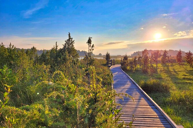 From Riga: Best of Kemeri National Park In One Day - Finishing at Ragaciems and the Gulf of Riga