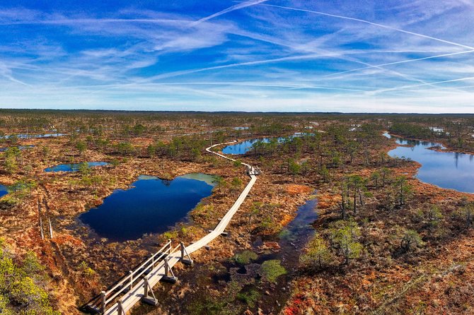 From Riga: Best of Kemeri National Park In One Day - What the small group and improv approach mean