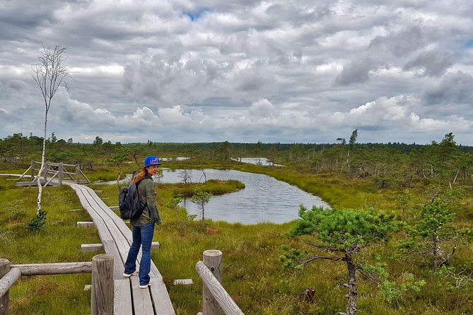From Riga: Best of Kemeri National Park In One Day - Is $235.33 a fair price?