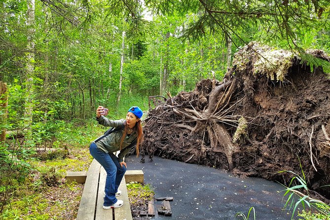 From Riga: Best of Kemeri National Park In One Day - Practical details for a smooth day