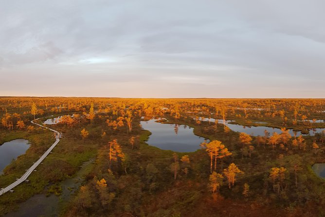 From Riga: Best of Kemeri National Park In One Day - Who should book this Kemeri tour?