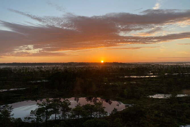 From Riga: Kemeri Bog Boardwalk and Jurmala Seaside - At a Glance: What Makes This Day Trip Worthwhile