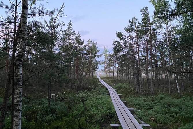 From Riga: Kemeri Bog Boardwalk and Jurmala Seaside - Starting From Central Riga at 9:00