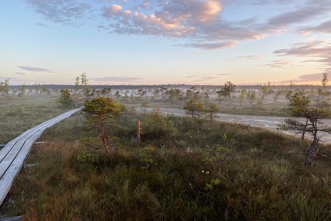 From Riga: Kemeri Bog Boardwalk and Jurmala Seaside - Guides Make the Difference