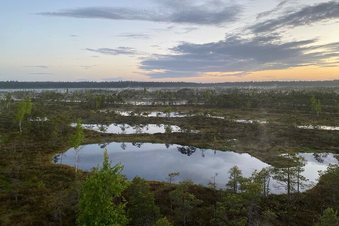 From Riga: Kemeri Bog Boardwalk and Jurmala Seaside - Price, Timing, and Cancellation