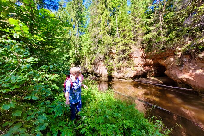 Full Day Gauja National Park Ultimate Hiking & Sightseeing Trip - What the $289.20 price includes