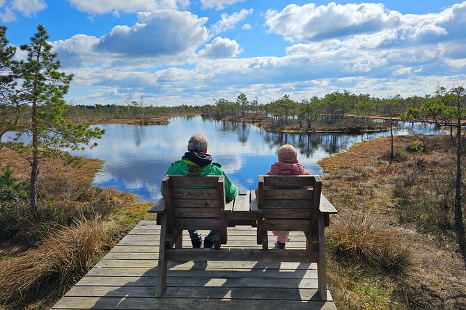 Great Ķemeri Bog and Swamp Forest Hiking Adventure - What the price includes, and what it does not