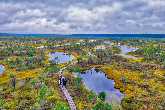 Great Ķemeri Bog and Swamp Forest Hiking Adventure - How difficult are the walks?