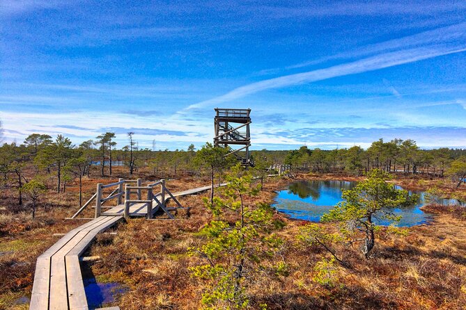 Great Ķemeri Bog and Swamp Forest Hiking Adventure - Choosing the best season for your visit