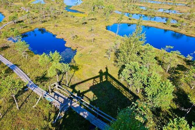 Great Ķemeri Bog and Swamp Forest Hiking Adventure - Rolands adds more than directions