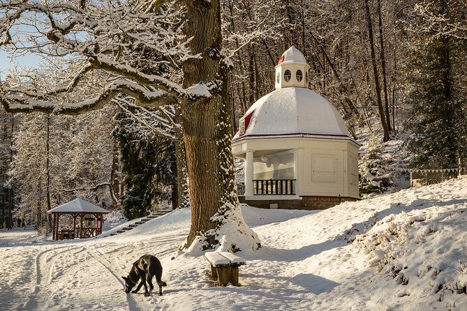 Group Tour: Sigulda and Turaida from Riga. - The Tsar’s viewpoints above the Gauja River