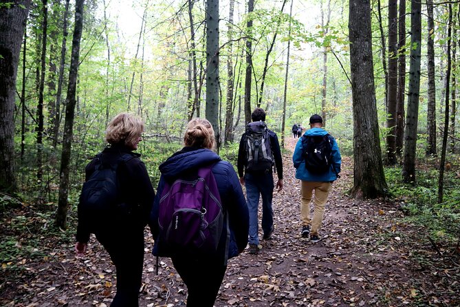 Hike In Gauja National Park - Up And Down The Switzerland Of Latvia - Is $138.03 a fair price?
