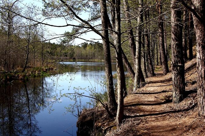 Hiking Adventure in Gauja National Park - 7 Days - Riga begins with Art Nouveau and market food