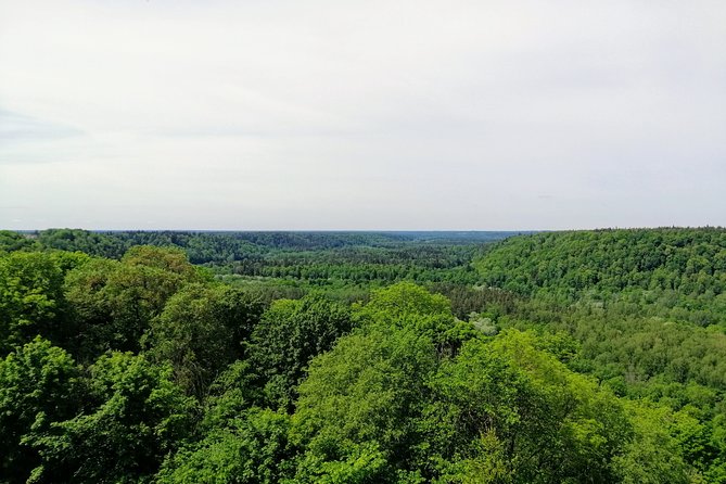 Hiking in Gauja National Park - Gutmanis Cave, Latvia’s famous sandstone stop