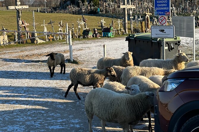 Hill of Crosses and Jelgava Gems Tour - 2 countries in 1 day - Who will enjoy this tour most?
