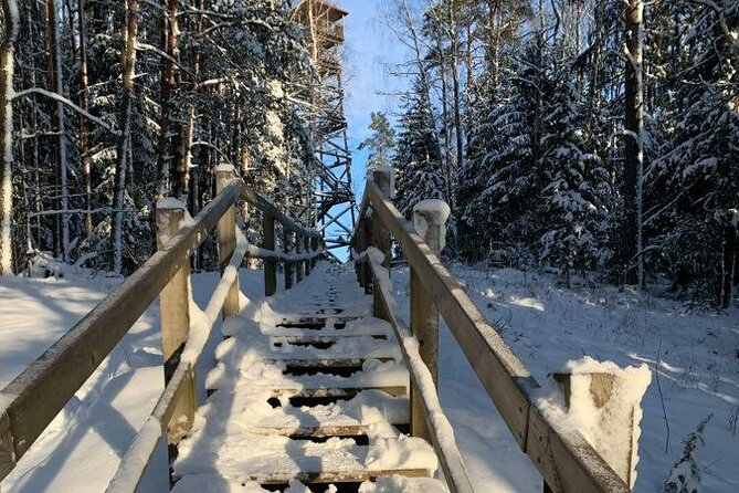 Husky dog sled/bike kart ride in Latvia ~ 3h group tour from Riga - From Riga to Ogres Zilie Kalni