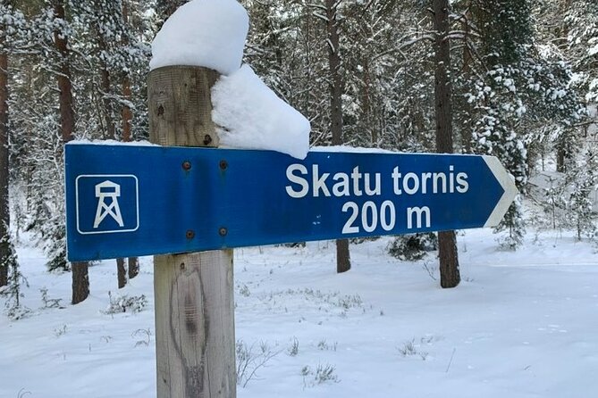 Husky dog sled/bike kart ride in Latvia ~ 3h group tour from Riga - Learning to mush safely