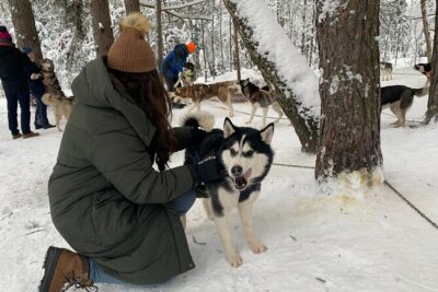 Husky dog sled/bike kart ride in Latvia ~ 3h group tour from Riga