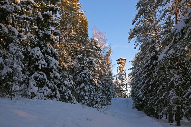 Husky Dog Sledding Tour From Riga - Who will enjoy this most