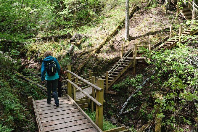 Private Full-Day Hiking Tour in Sigulda and Gauja National Park - Forests, meadows, and the Gauja River valley