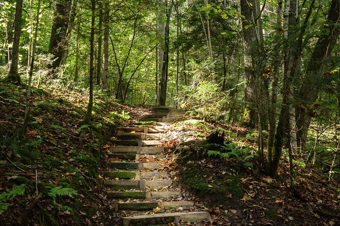 Private Full-Day Hiking Tour in Sigulda and Gauja National Park - What the private format adds