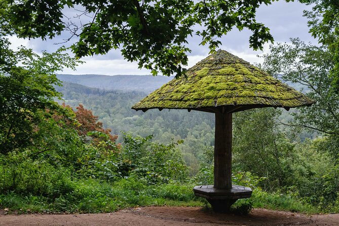 Private Full-Day Hiking Tour in Sigulda and Gauja National Park - Lunch, picnic planning, and what to bring
