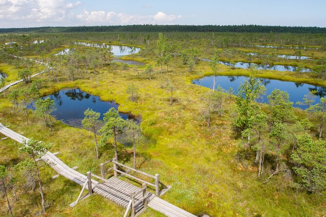 Private Full-Day Trip to Jurmala and Great Kemeri Bog Boardwalk - Walking into the Great Kemeri Bog