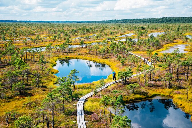 Private Full-Day Trip to Jurmala and Great Kemeri Bog Boardwalk - Jurmala beyond the beach
