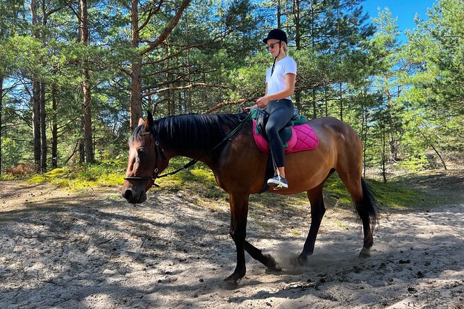 Private Horse Riding on the Beach in Riga - The beach ride and pace of the hour
