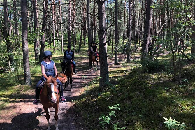 Private Horse Riding on the Beach in Riga - Timing, weather, and cancellation