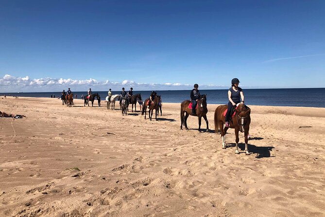 Private Horse Riding on the Beach in Riga - Riding through Latvian forest
