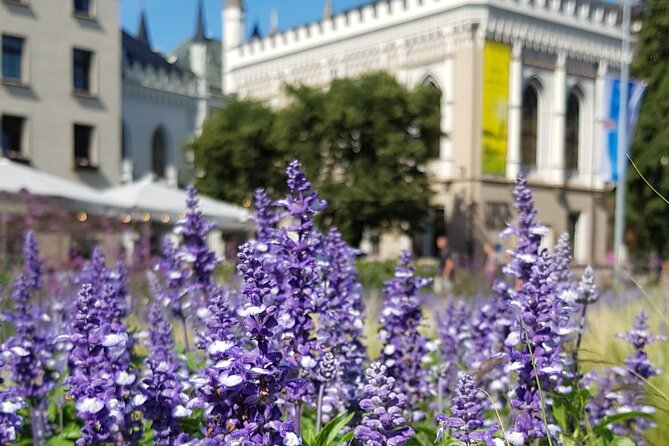 Riga Sightseeing Tour for First Time Visitors - Central Market: a short stop with practical help