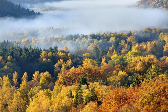 Road Trip to Cēsis, Līgatne, Āraiši and Sigulda - All Inclusive - Harijs makes the private format useful