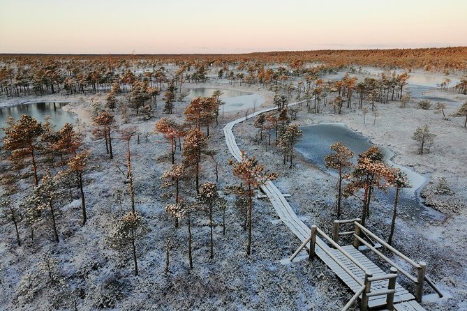 Sunrise at Kemeri National park + Jurmala - Why the 3:30 AM start can be worth it