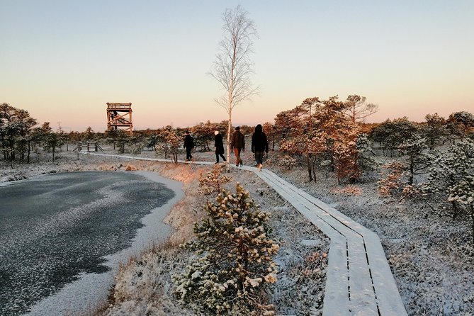 Sunrise at Kemeri National park + Jurmala - Guides who make a private morning easier