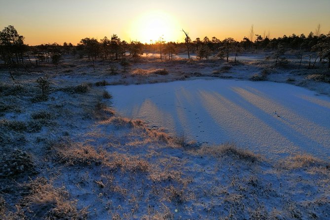 Sunrise at Kemeri National park + Jurmala - The summer Baltic Sea swim