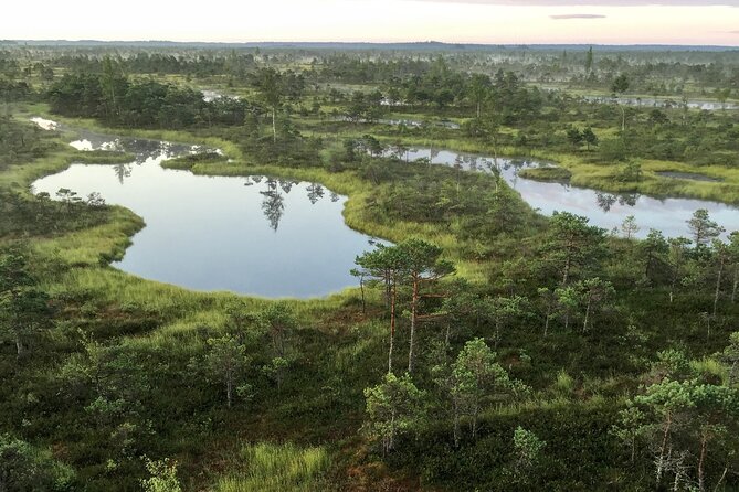 Sunrise at Kemeri National Park - Small Group - Leaving Riga before sunrise