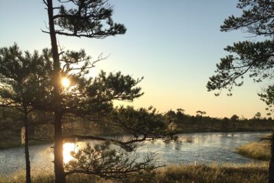 Sunrise at Kemeri National Park – Small Group