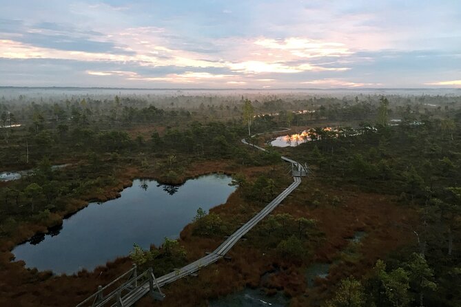 Sunrise at Kemeri National Park - Small Group - Who will enjoy this outing most?