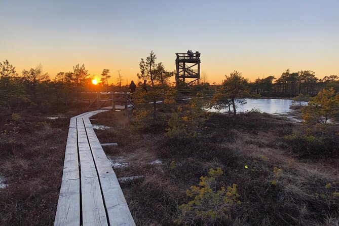 Sunset at Kemeri National Park - Key points to know before you book