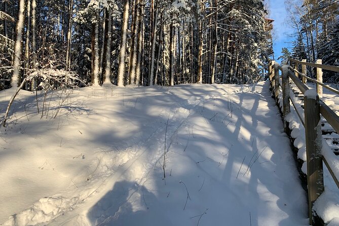 Ultimate Husky dog sledding experience in Latvia - Private tour from Riga - The watchtower and the waiting time