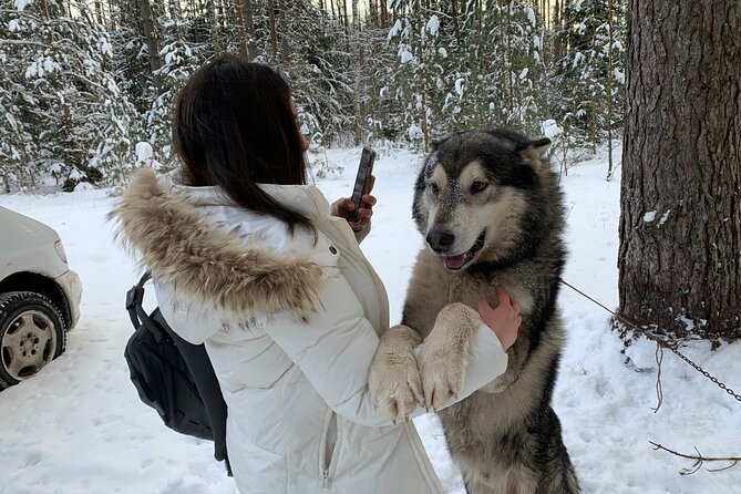 Ultimate Husky dog sledding experience in Latvia - Private tour from Riga - Guides, photos, and Latvian touches